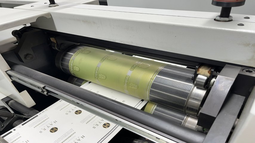 Codimag, Viva 420 Aniflo